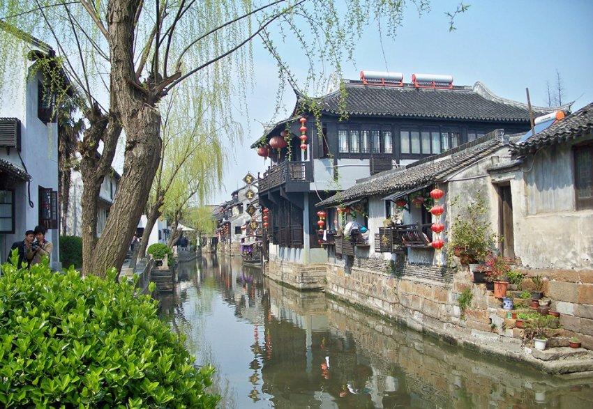 家中鼠妇怎么彻底消灭,家中缠绕鼠妇虫?彻底消灭法!
